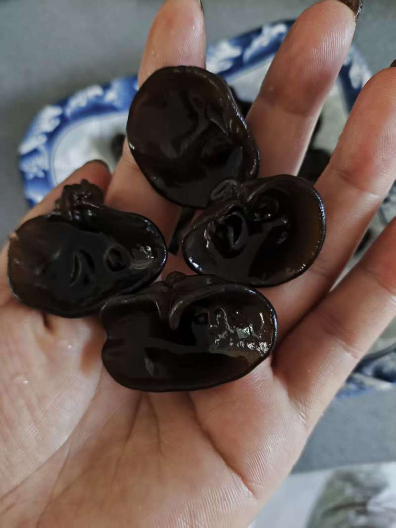 东北碗耳，秋耳，黑木耳批发一件代发，大量有货源头工厂。