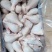琵琶腿