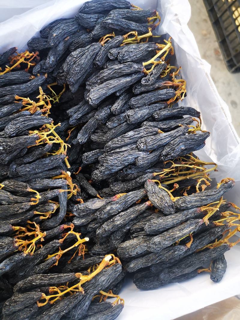 蓝宝石，超大颗粒葡萄干，葡萄干中的大哥大。