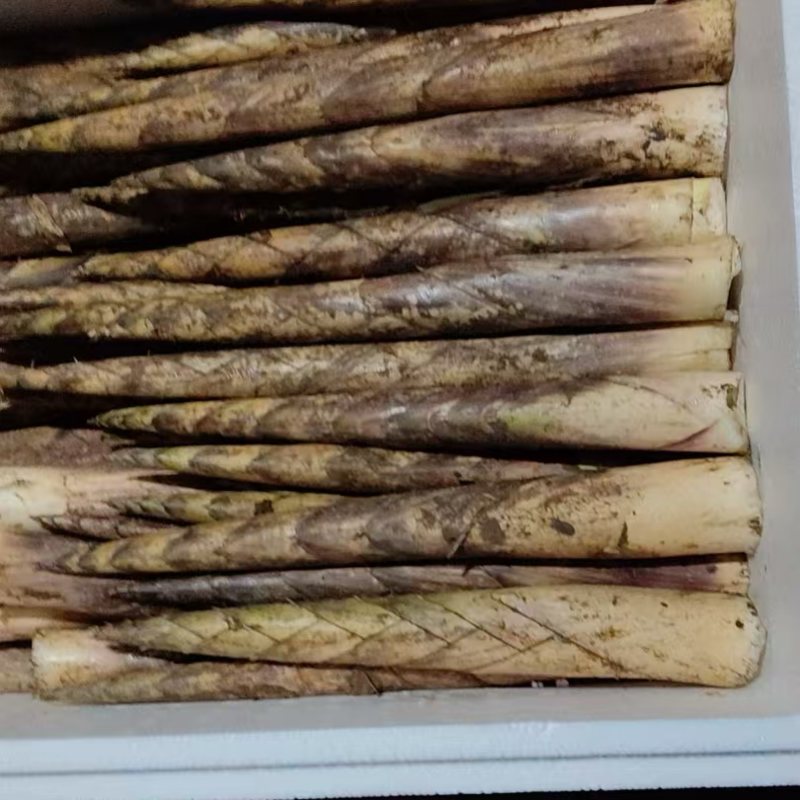 方竹笋毛壳
