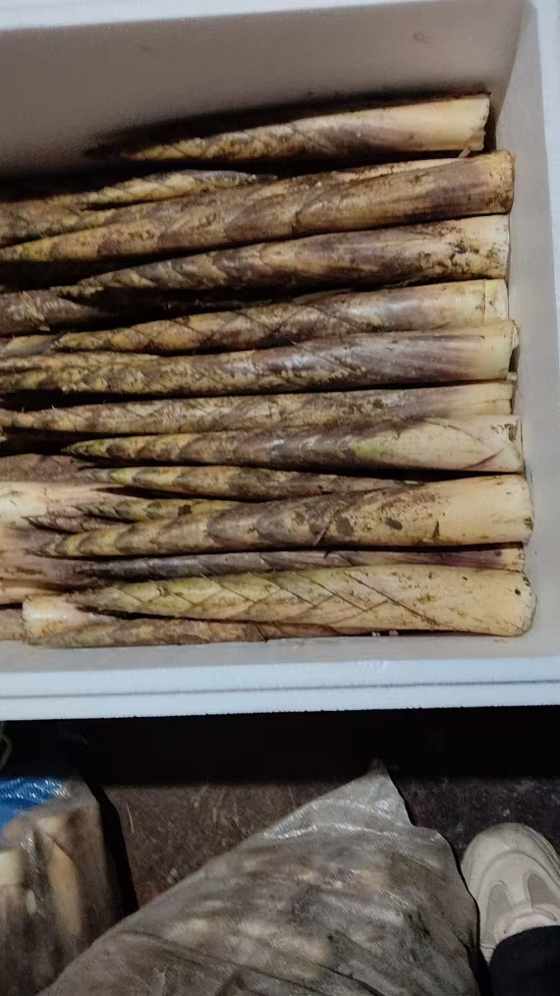 方竹笋毛壳