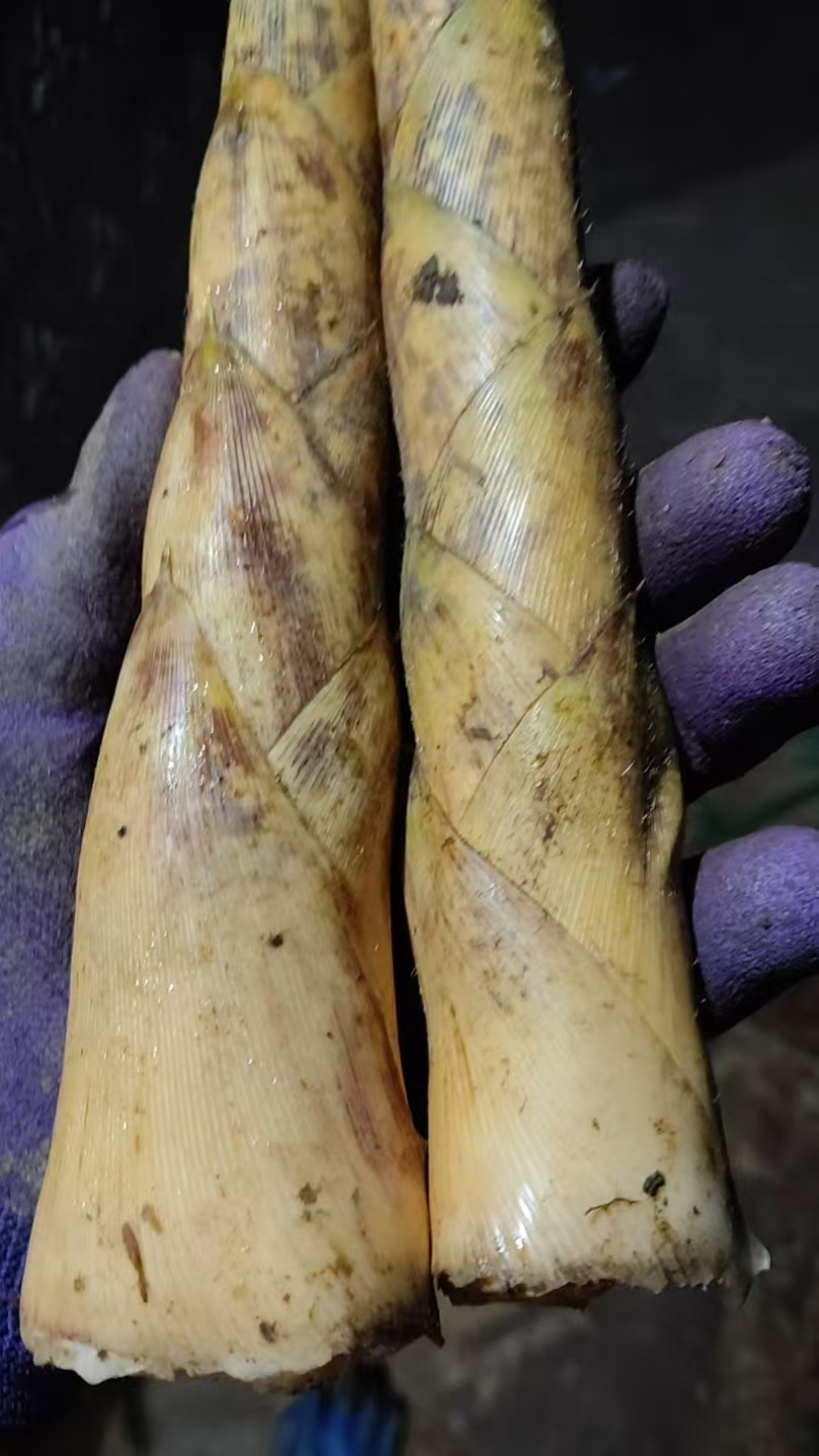 方竹笋毛壳