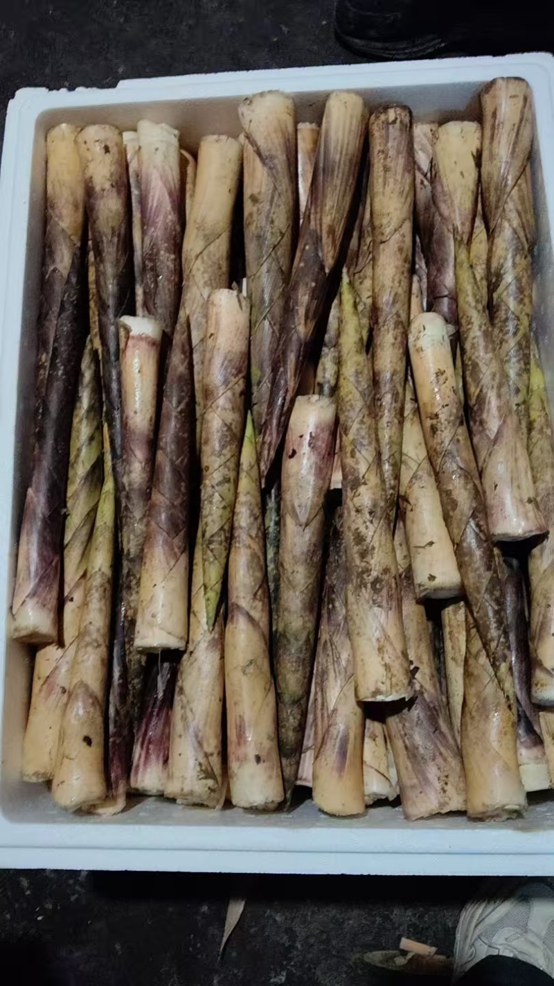 方竹笋毛壳