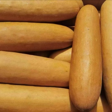 东北蔬菜