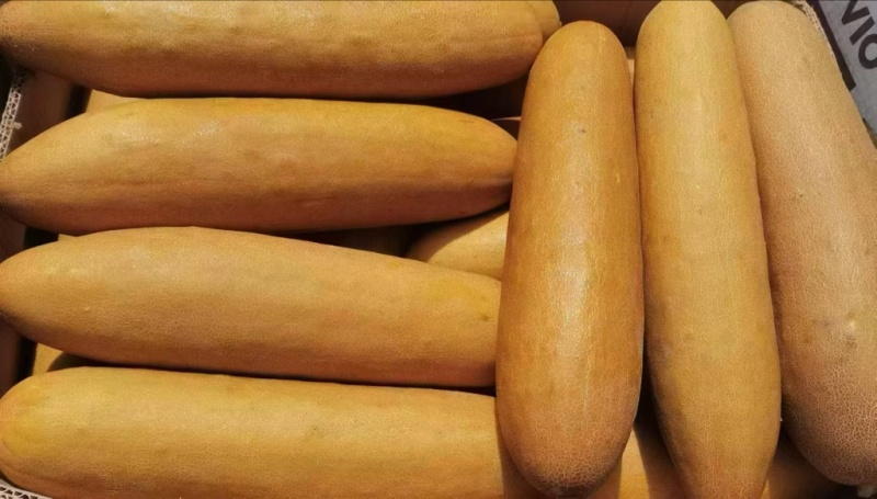 东北蔬菜