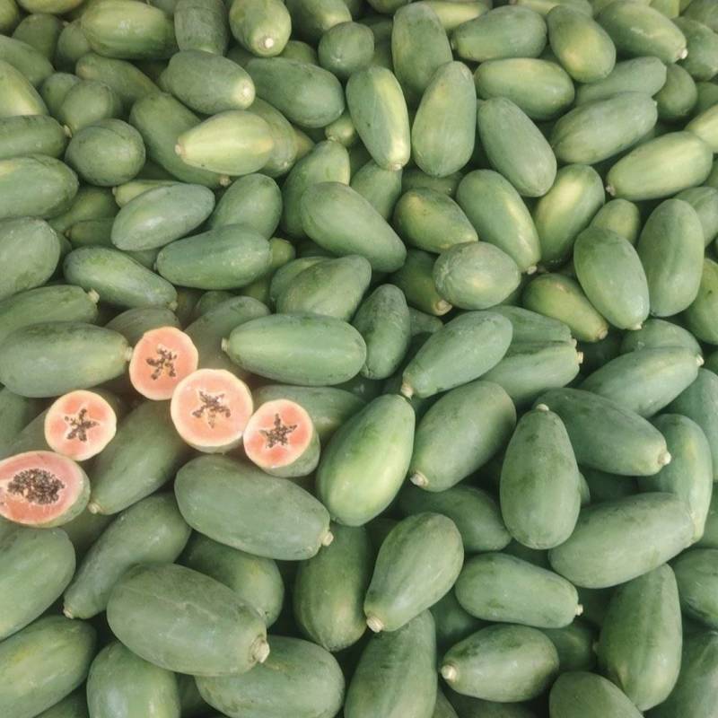 红心牛奶木瓜