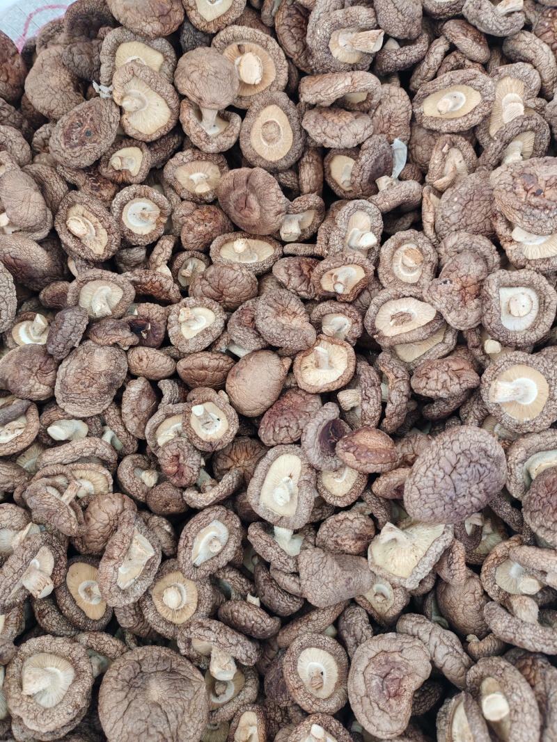 《畅销推荐》河北香菇干货基地直发保质保量对接商超团购