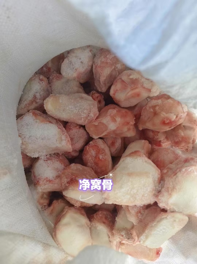 净窝骨