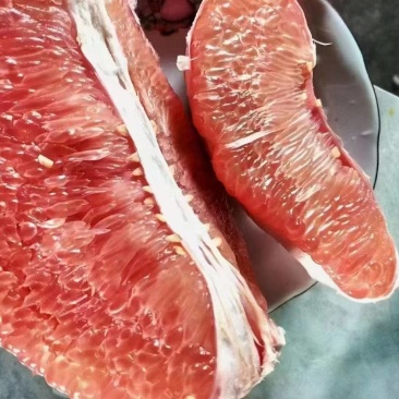 红心柚