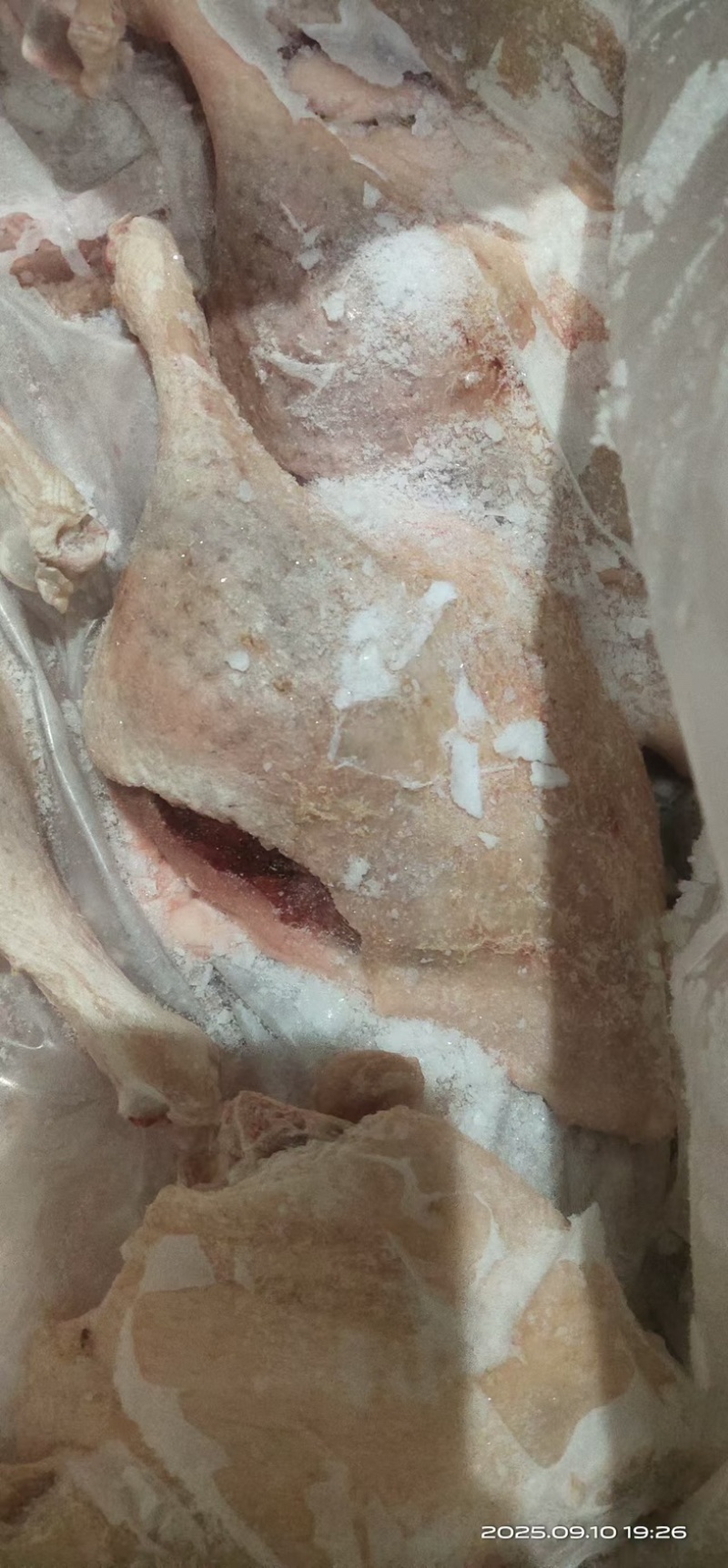 二级老鸡边腿