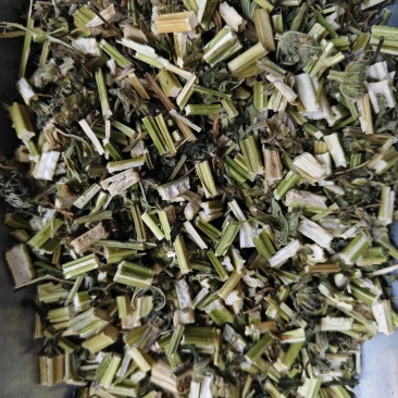 益母草新货益母草段批发零售干净无杂质量大从优