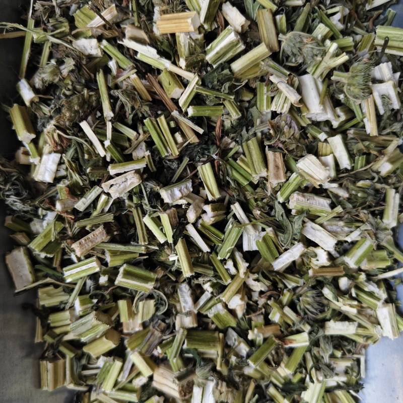 益母草新货益母草段批发零售干净无杂质量大从优