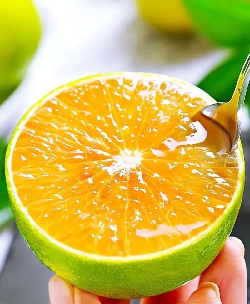 冰糖橙云南冰糖橙皮薄汁多现摘现发欢迎咨询