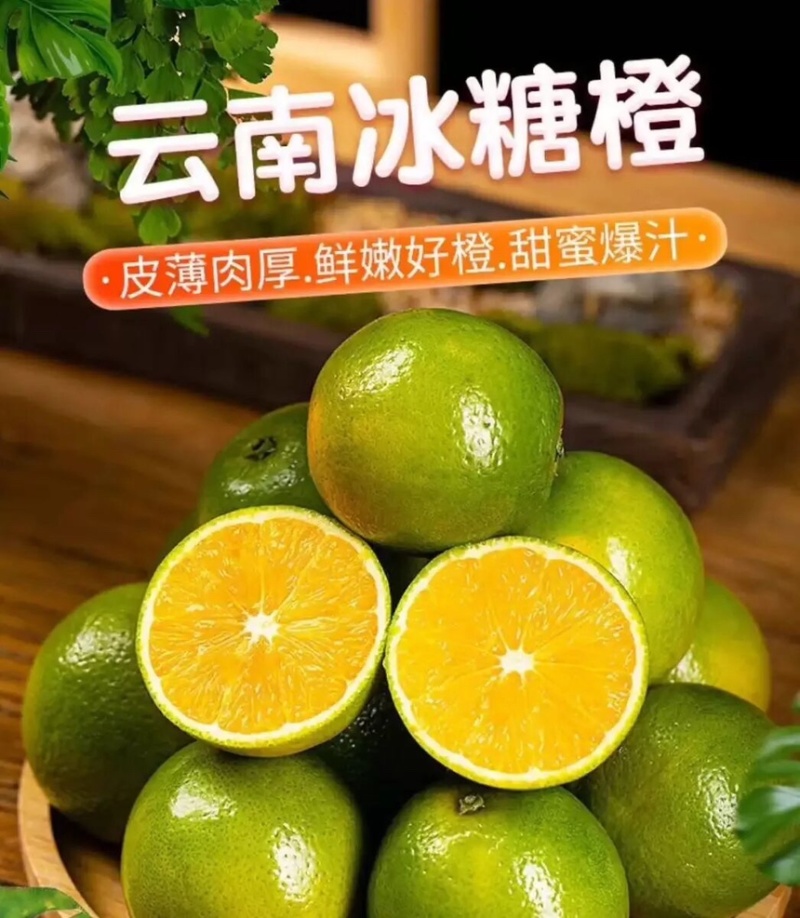 冰糖橙云南冰糖橙皮薄汁多现摘现发欢迎咨询