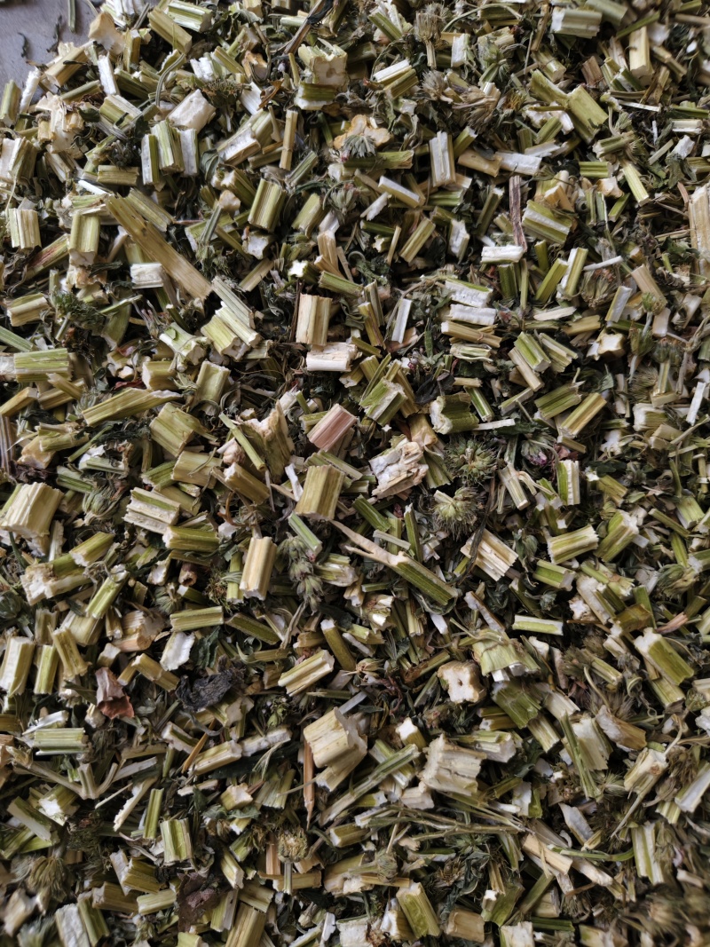 益母草新货益母草段批发零售干净无杂质量大从优