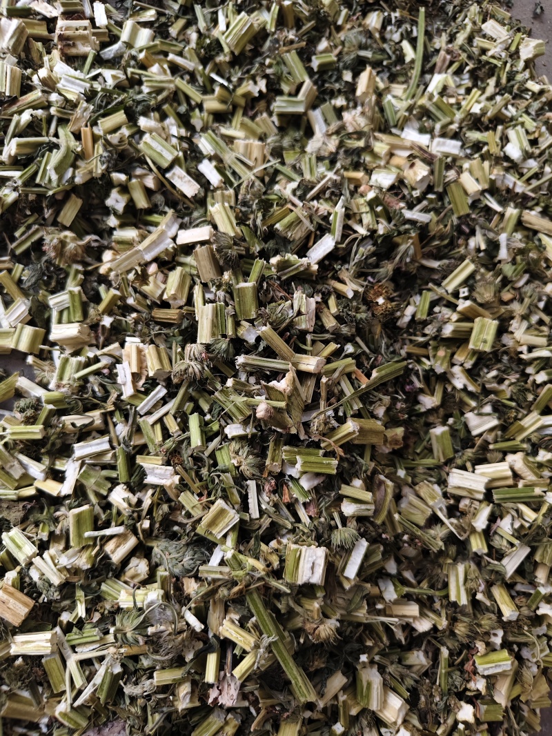 益母草新货益母草段批发零售干净无杂质量大从优