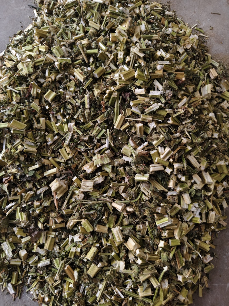 益母草新货益母草段批发零售干净无杂质量大从优