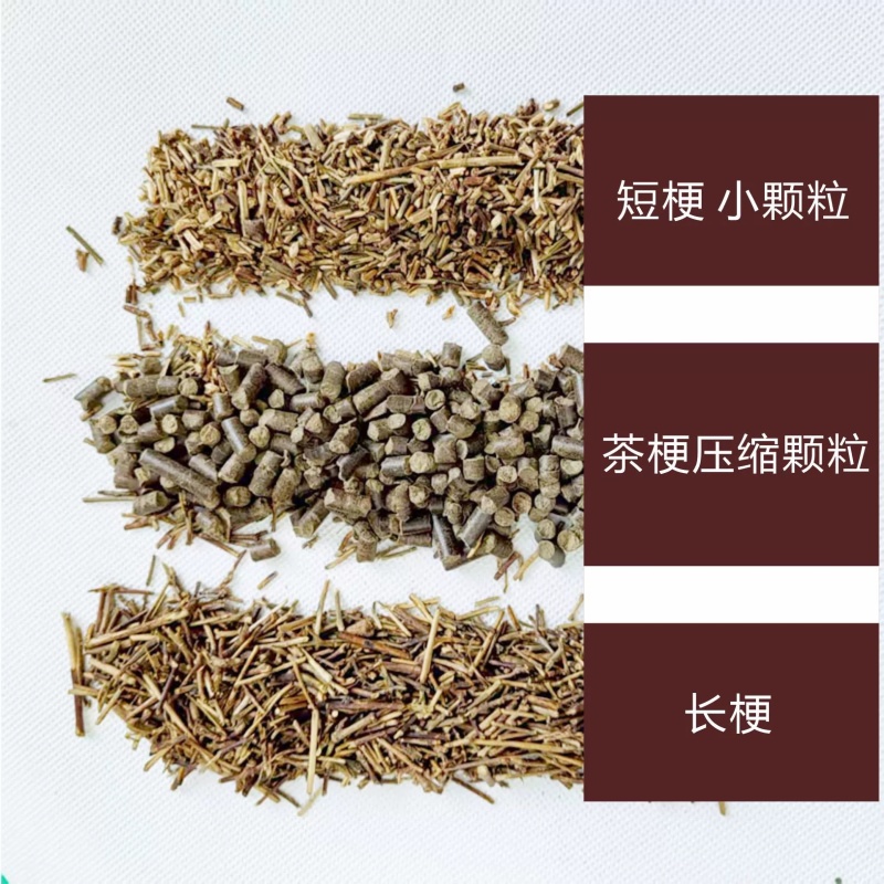 茶叶梗绿茶梗