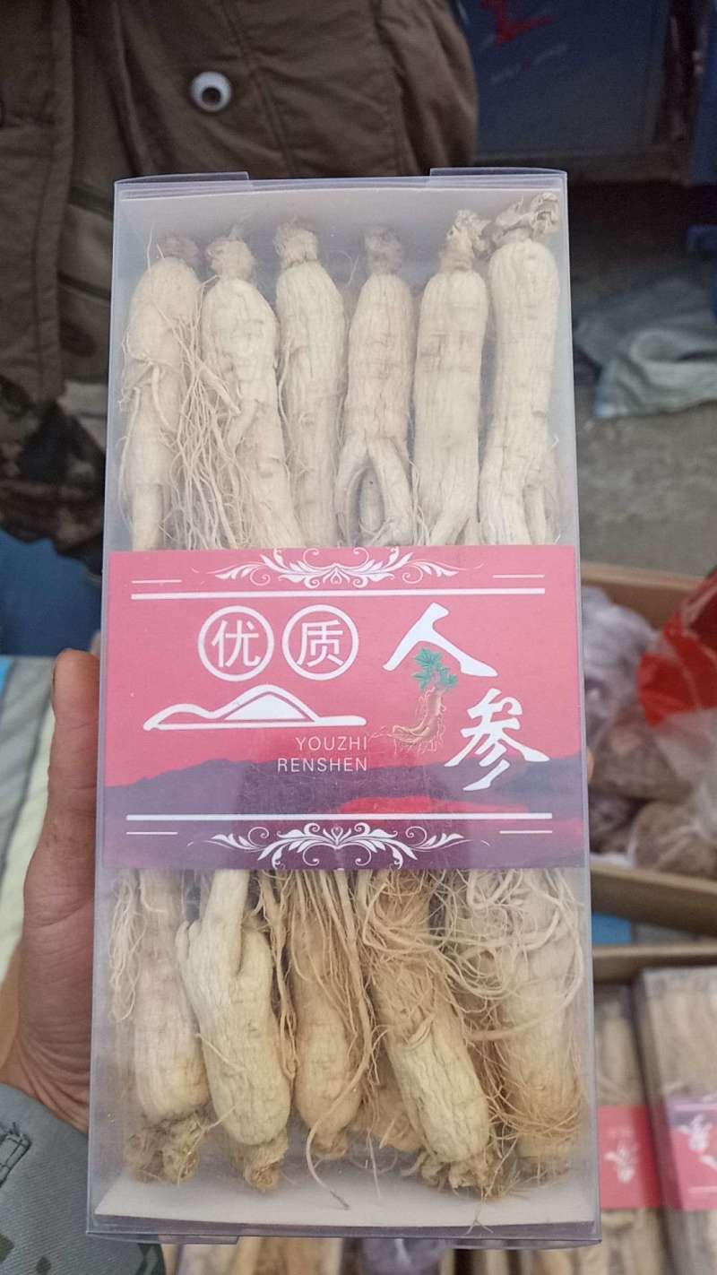长白山人参各种规普货精品都有