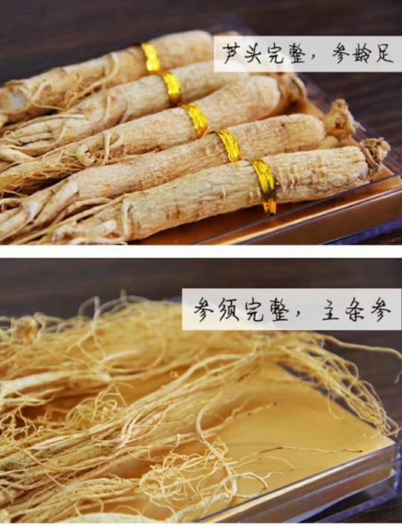 长白山人参各种规普货精品都有