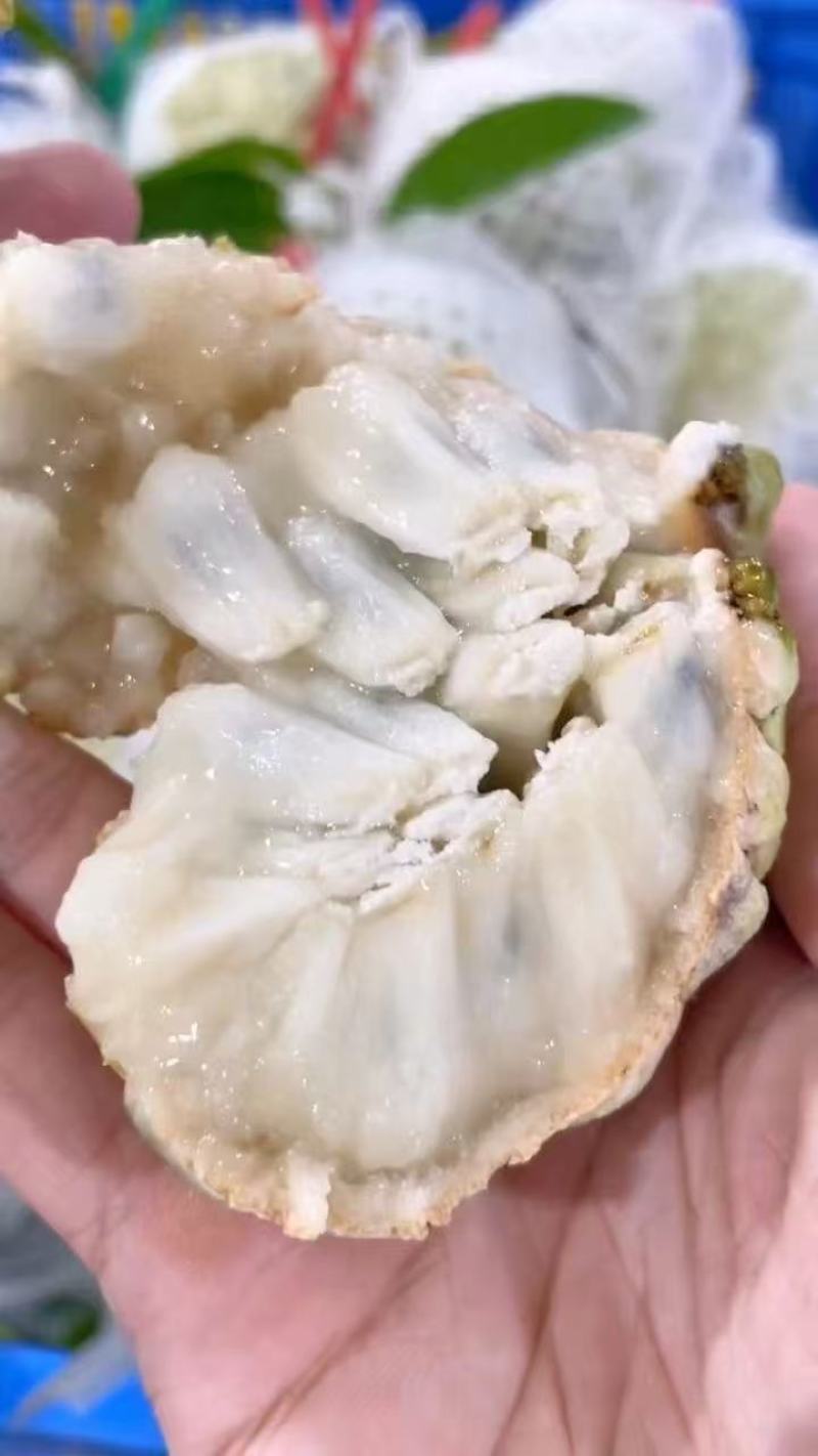 海南番荔枝批发全国发货释迦果凤梨释迦果