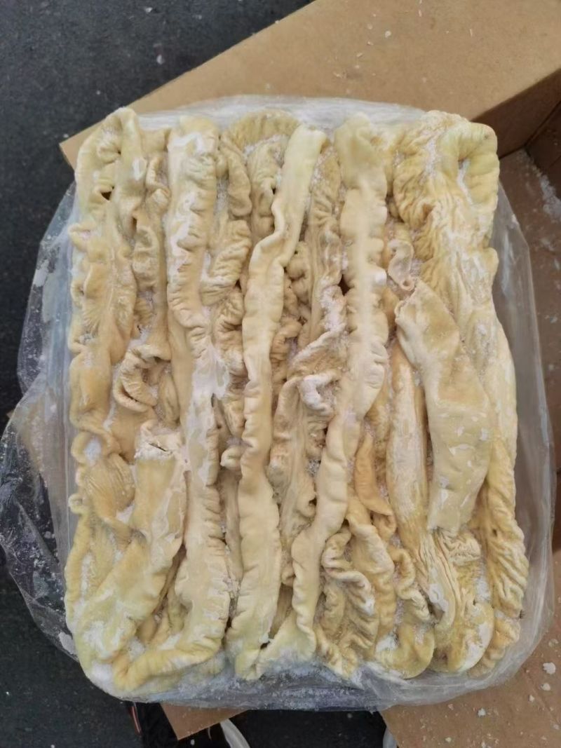 预煮猪大肠纯干货原色大肠