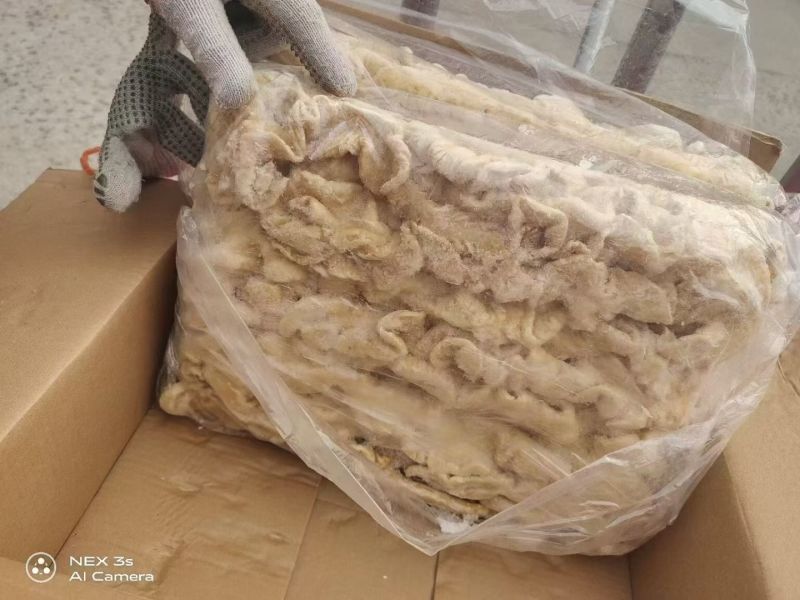 预煮猪大肠纯干货原色大肠