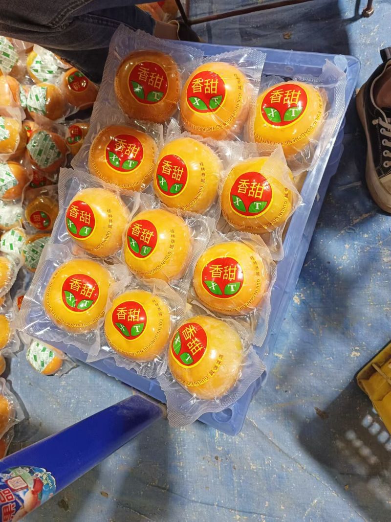 恭城巧克力柿子，电商果，精品包装