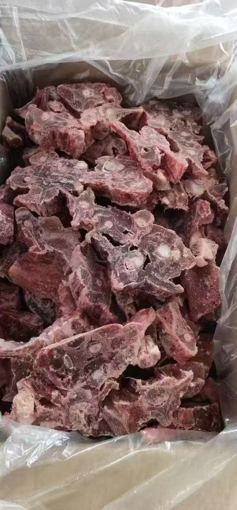 多肉羊蝎子工厂直销可免费切块加工