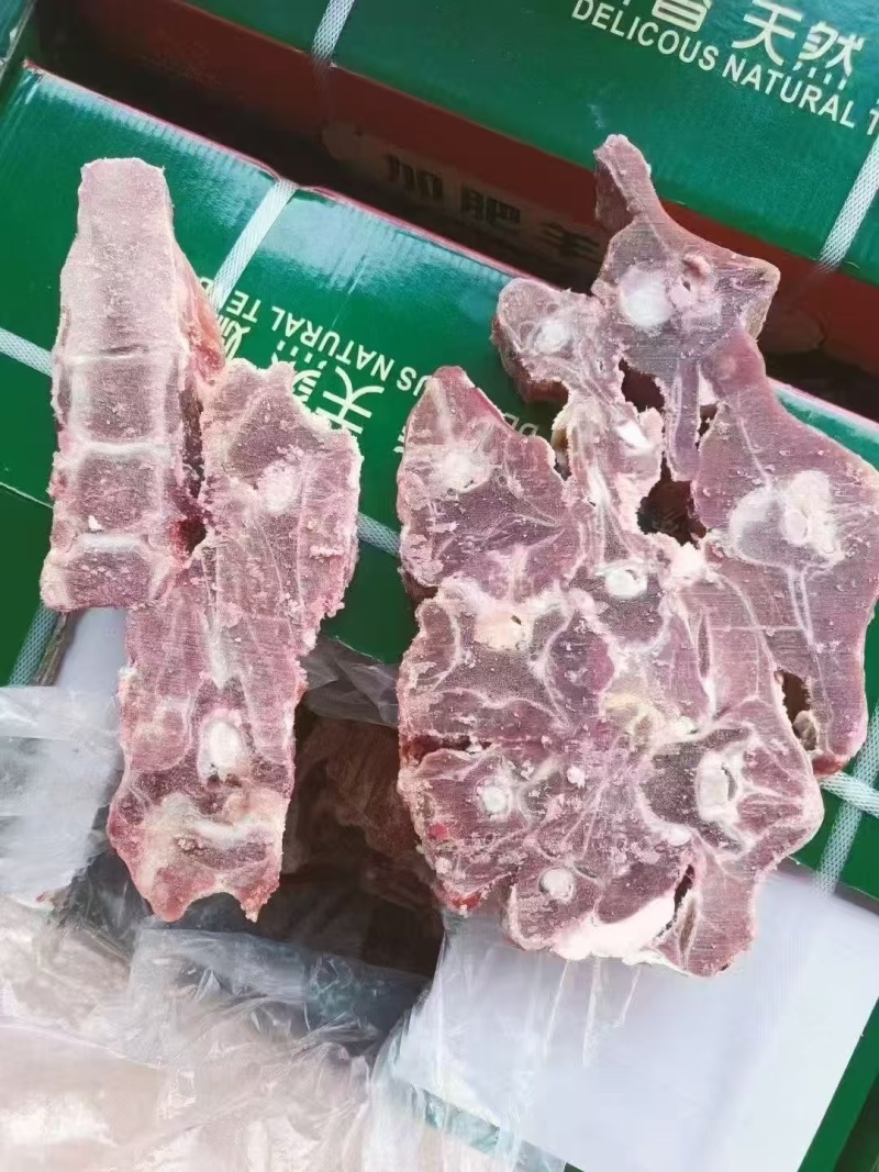 多肉羊蝎子工厂直销可免费切块加工