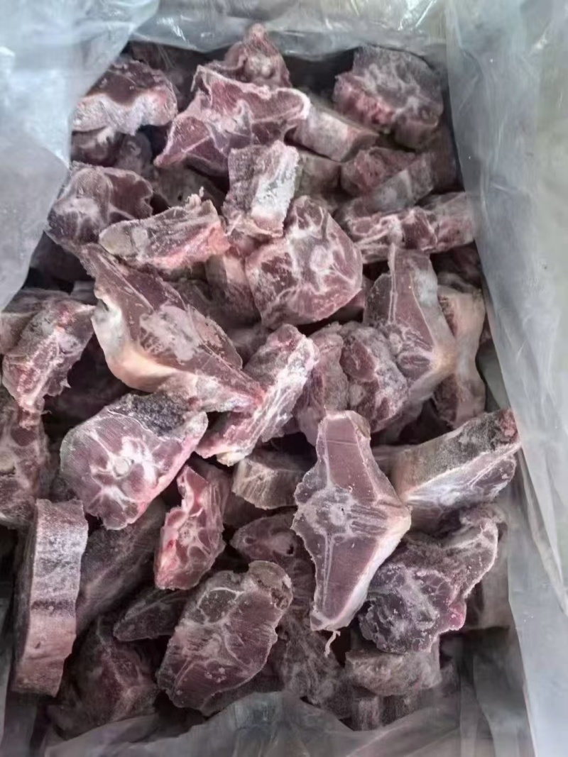 多肉羊蝎子工厂直销可免费切块加工