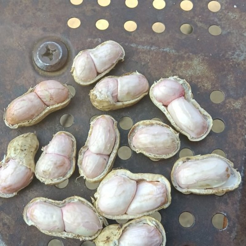 小白沙花生