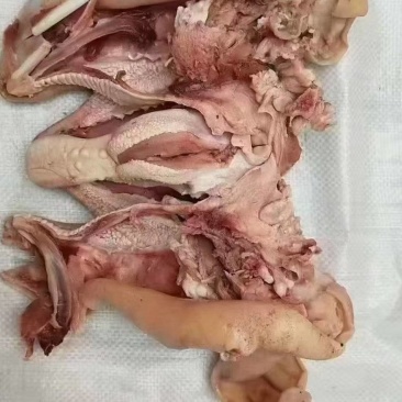 熟羊脸全熟羊脸批发零售全国各地发货