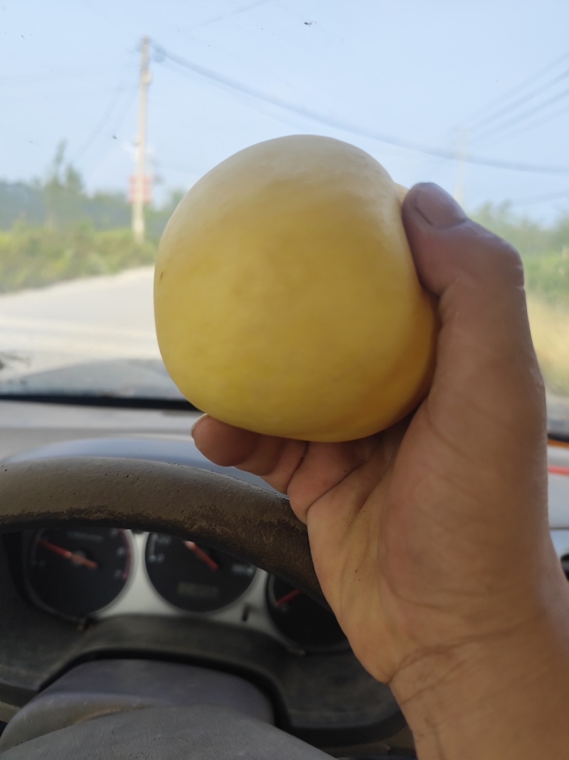 国庆黄油