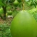 白心柚精品果