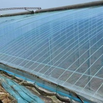 蔬菜大棚棚膜养殖大棚棚膜