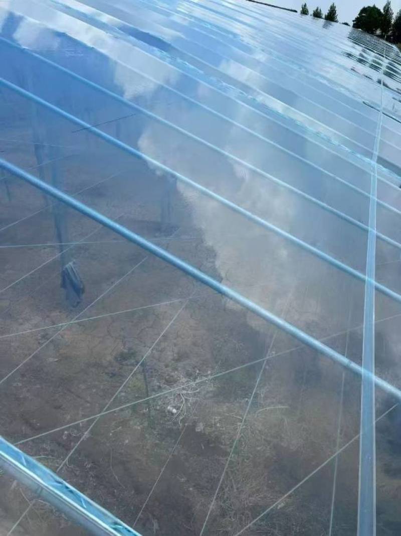 蔬菜大棚棚膜养殖大棚棚膜