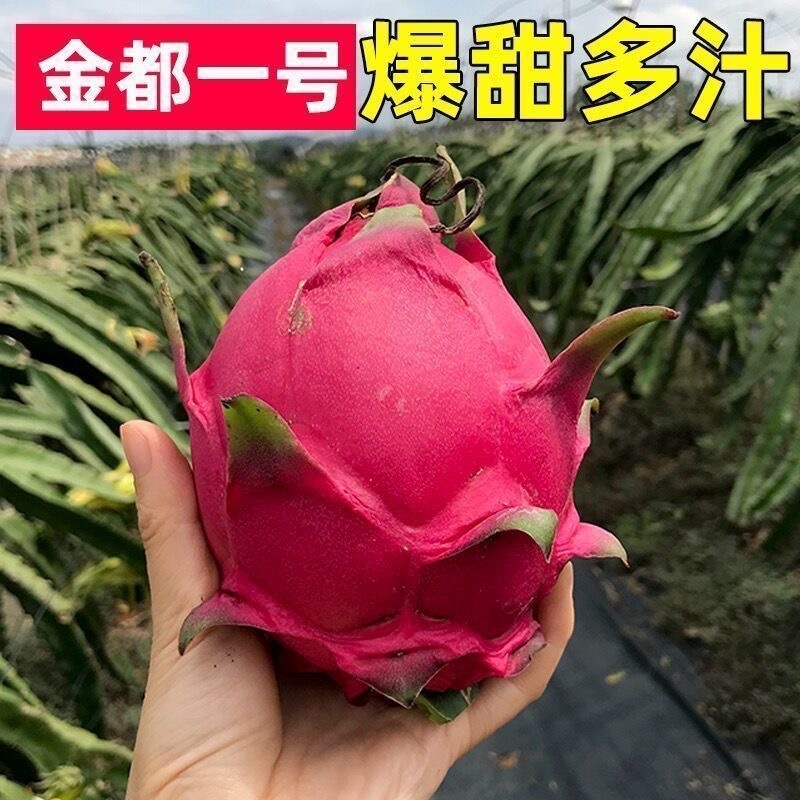 火龙果，红心火龙果，货源充足，可全国发货，欢迎大家一起
