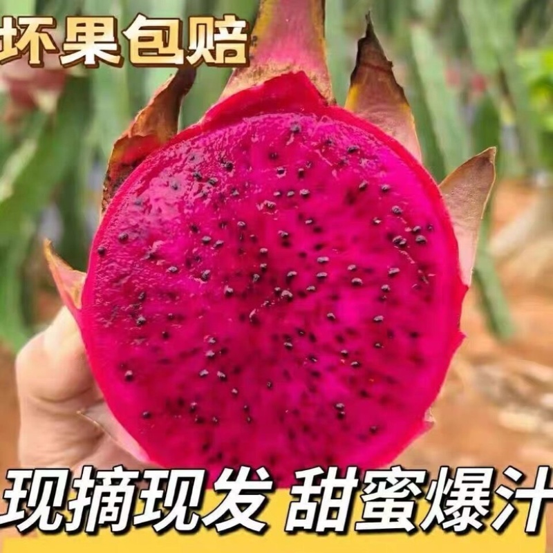 火龙果，红心火龙果，货源充足，可全国发货，欢迎大家一起