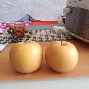 秋月梨