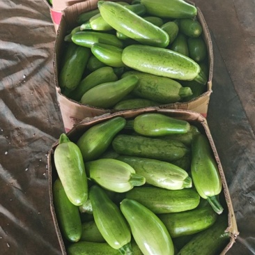 食堂货