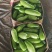 食堂货