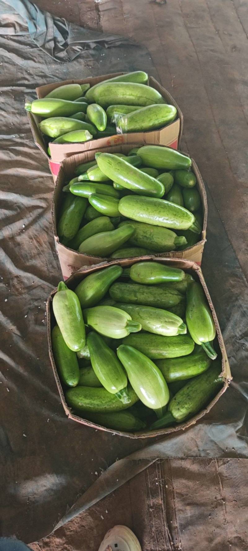 食堂货