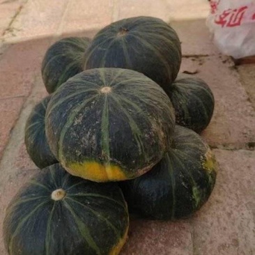 精品贝贝瓜南瓜