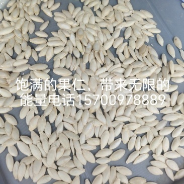 葫芦籽美甲