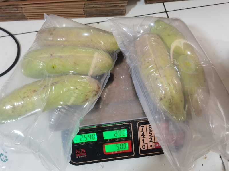八月瓜新鲜水果专业电商代发-全平台秒出单