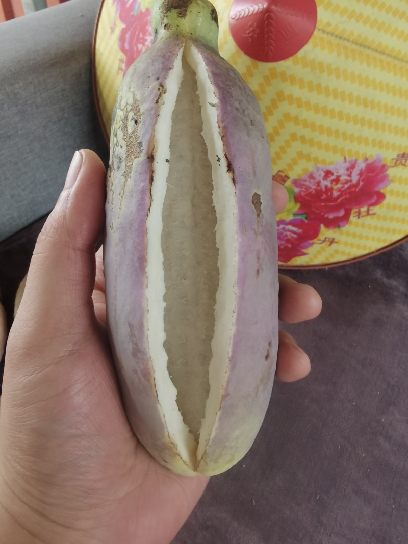 八月瓜新鲜水果专业电商代发-全平台秒出单