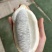 八月瓜新鲜水果专业电商代发-全平台秒出单