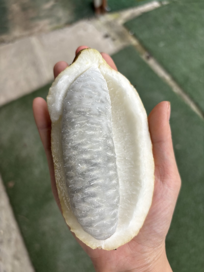 八月瓜新鲜水果专业电商代发-全平台秒出单