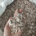 白芍，白芍片过筛无沫，产地直发保质保量批发各种中药材